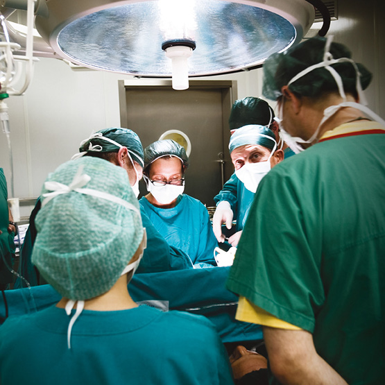 Report-Scientific-Gruppo-Multimedica